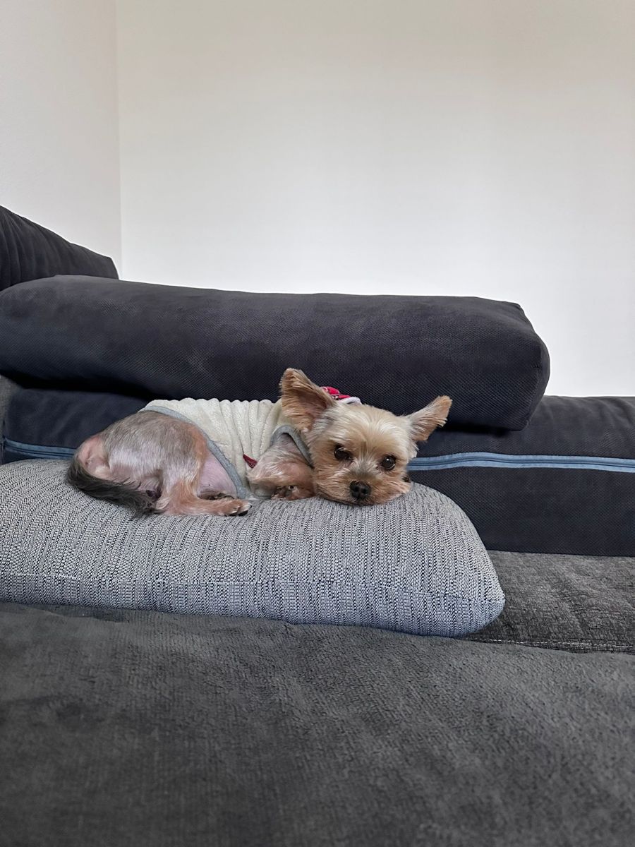 Aufgeben kommt für den 44-Jährigen nicht in Frage.