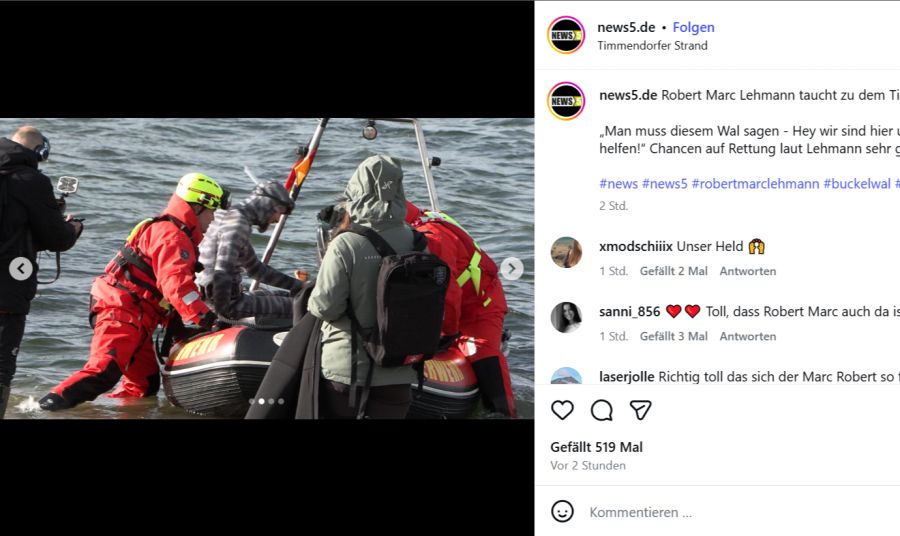 Die Rettungskräfte geben alles für das gestrandete Tier.