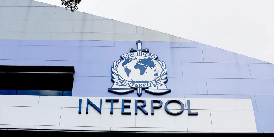interpol logo