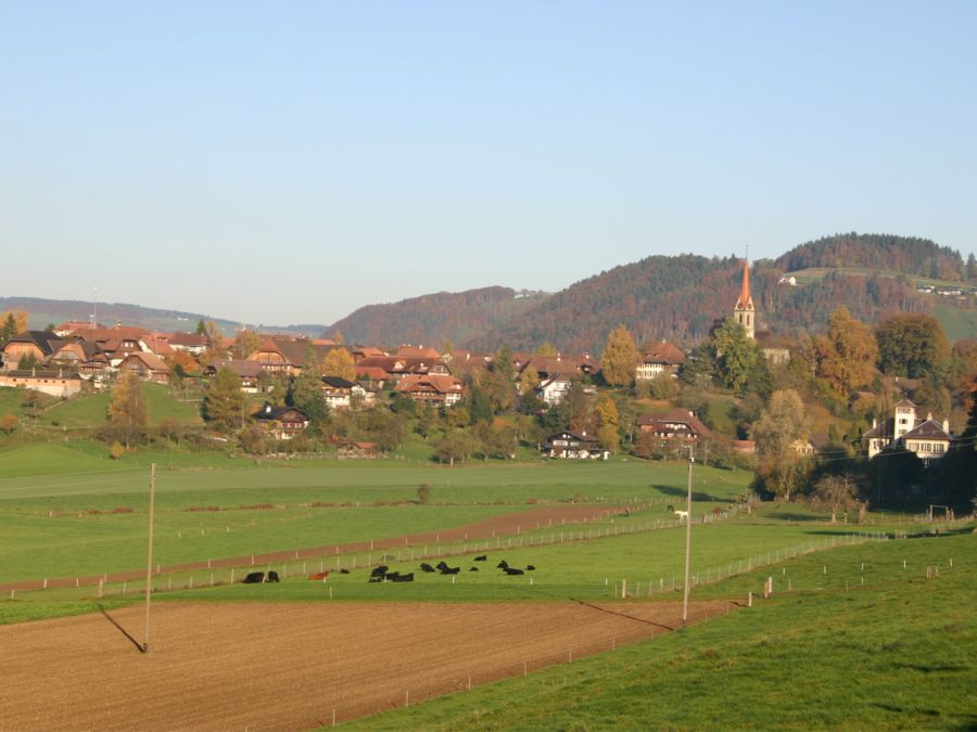 kirchdorf biodiversität