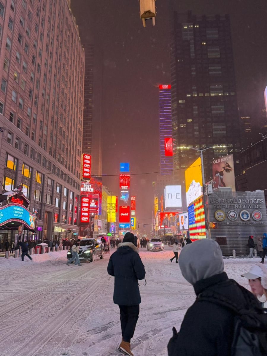 Die Schweizerin Defne erlebt mit ihrem Mann Jan die Schnee-Massen in New York.