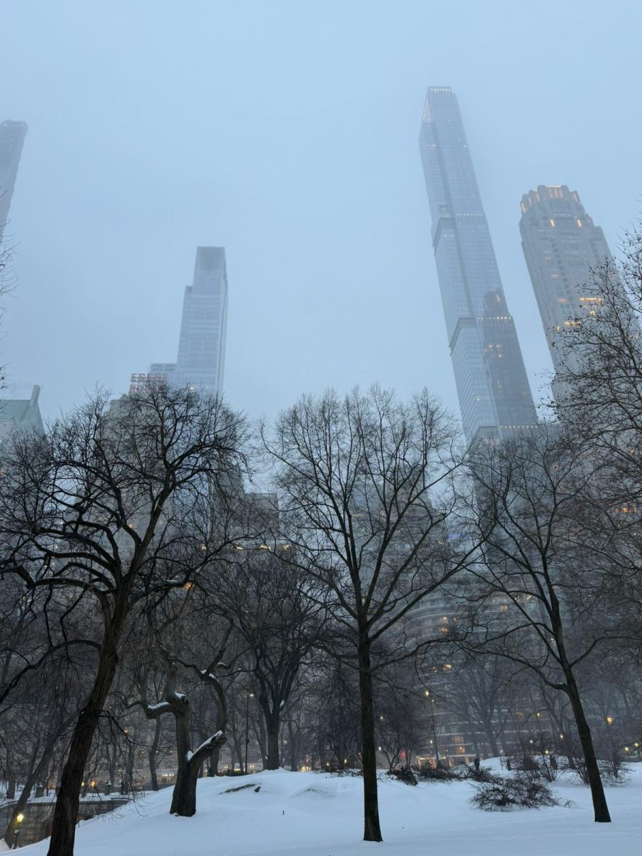Ein Blick aus dem Central Park auf die New-York-Skyline.