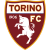 Torino Logo