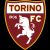 Logo Torino