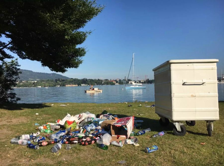 Abfall liegt auf der Chinawiese in Zürich.