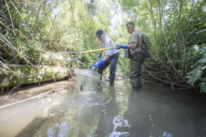 Insbesondere bei der Fisch- und Gewässerüberwachung gab es weniger Tierversuche. Tierversuche