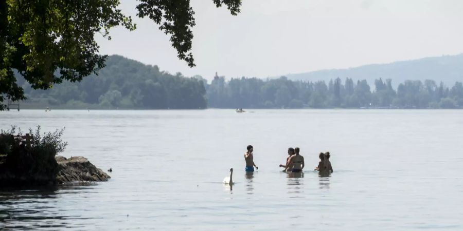 Hallwilersee