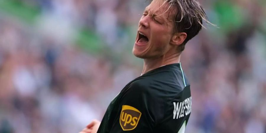Will in die niederländische Nationalmannschaft: Wout Weghorst. Foto: Peter Steffen