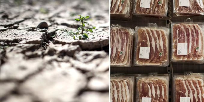 Braucht die Schweiz eine Fleisch-Steuer, um etwas gegen den Klimawandel zu tun? Klimawandel