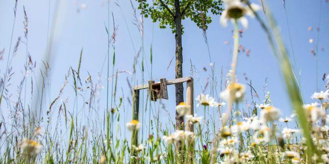 Biodiversität