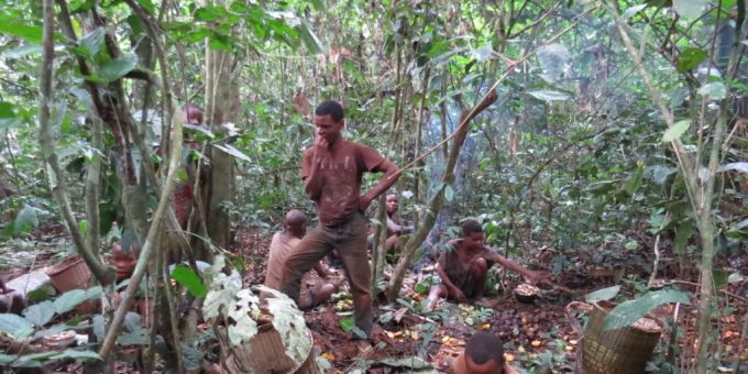 Jagen, Sammeln und Teilen im Regenwald: Das Ernährungssystem der Baka im Südosten Kameruns ist wie das vieler indigener Völker nachhaltig, regional und anpassungsfähig. Indigene Völker
