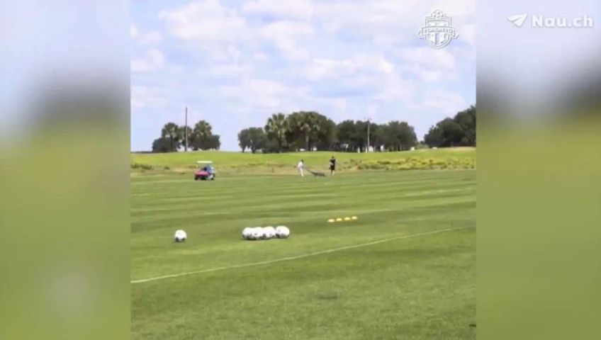 alligator-bei-training-toronto-fc