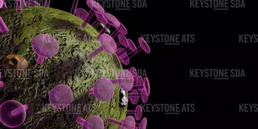 In der Schweiz und in Liechtenstein sind dem Bundesamt für Gesundheit (BAG) am Freitag innerhalb von 24 Stunden 354 neue Coronavirus-Ansteckungen gemeldet worden. Gleichzeitig registrierte das BAG 24 Spitaleinweisungen und drei neue Todesfälle.