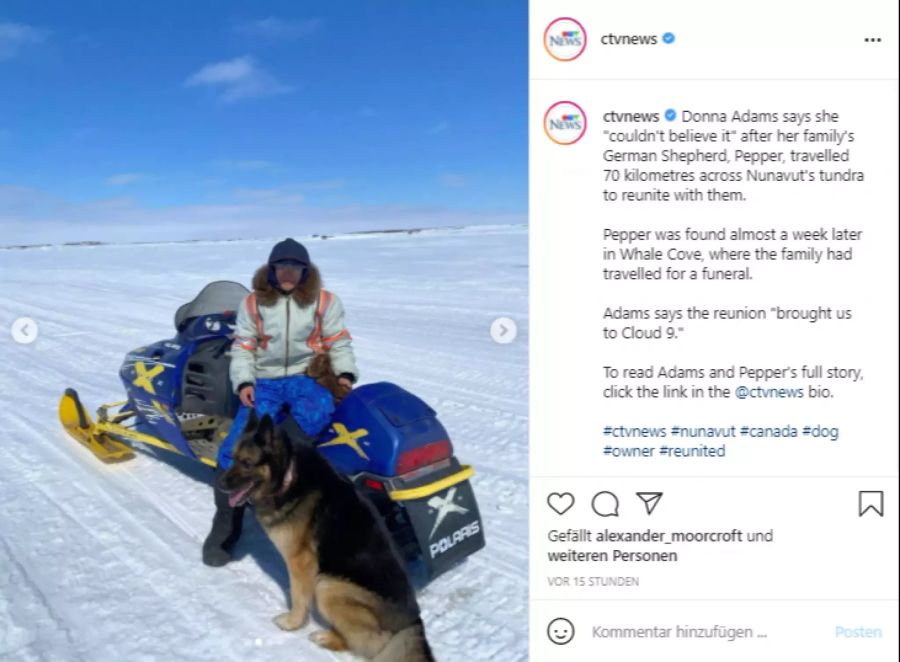 Pepper folgte ihrer Herrin, die auf dem Schnneemobil über 70 Kilometer weit gereist war.