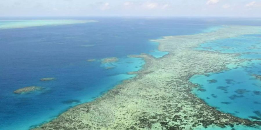 Die Umweltschäden am Great Barrier Reef nehmen zu. Das Unesco-Welterbekomitee fordert Australien eindringlich auf, Massnahmen gegen den Klimawandel zu treffen. Foto: Uncredited/Kyodo News via AP/dpa