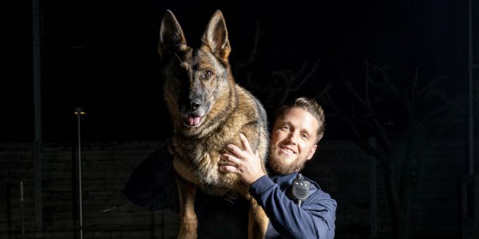 Polizeihund Quinto. Polizeihund Quinto