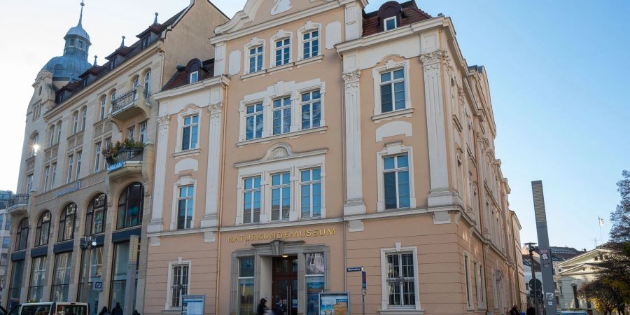 Das Senckenberg Naturkundemuseum am Marienplatz in Frankfurt am Main (Archivbild).