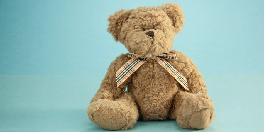 Basel Spielzeug Museum Teddybär