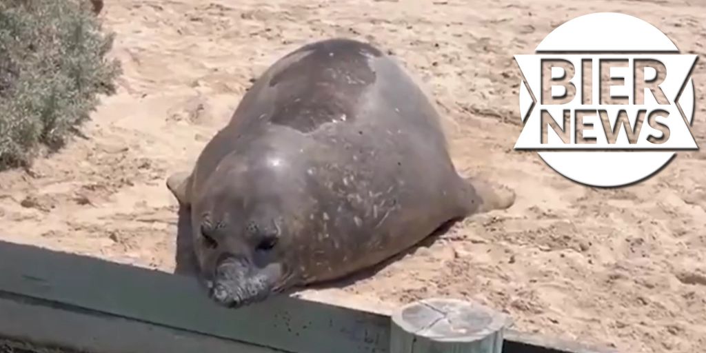 Rambo Seal invades Aussie gas station