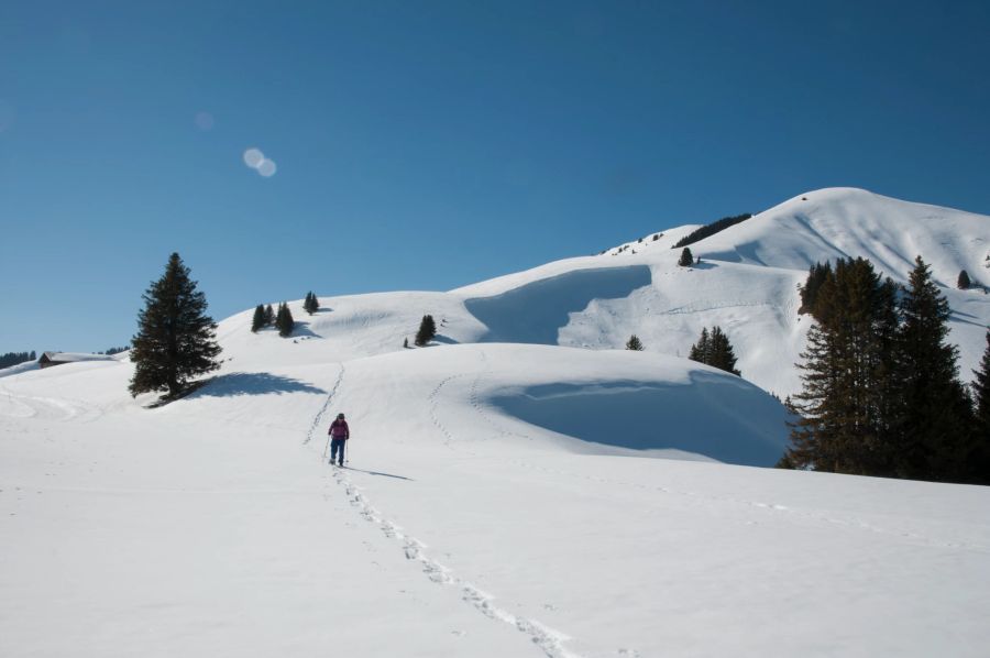 Schneetour auf dem Hundsrügg.