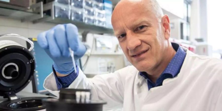 immunität 10 fragen antworten