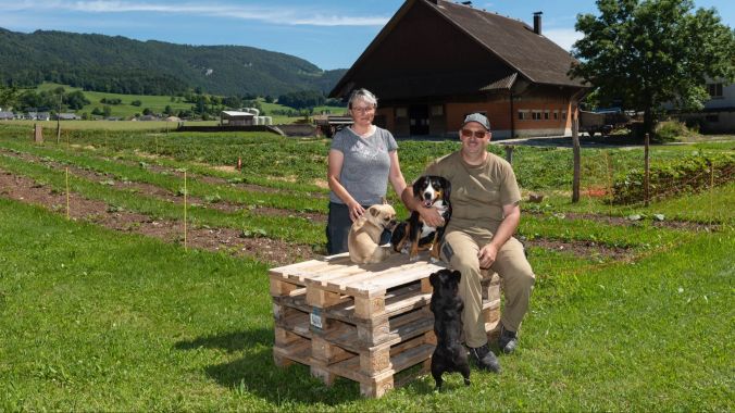 Barbie, Charlie (franz. Bulldoggen) und Mascha (Entlebucher Sennenhund) sind Elenas Schützlinge.
