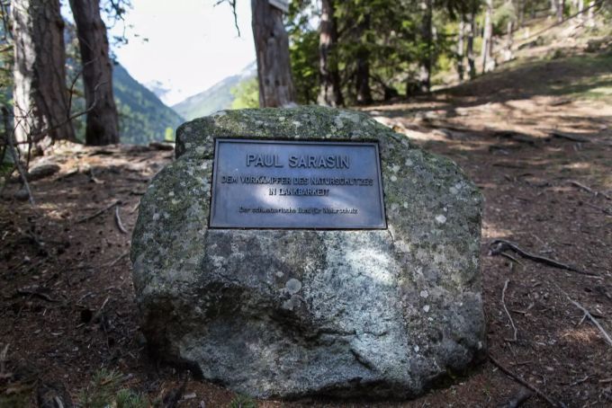 Im Cluozzatal, dem ältesten Teil des Schweizer Nationalparks, wurde Park-Gründer Paul Sarasin verewigt. Sarasin Nationalpark