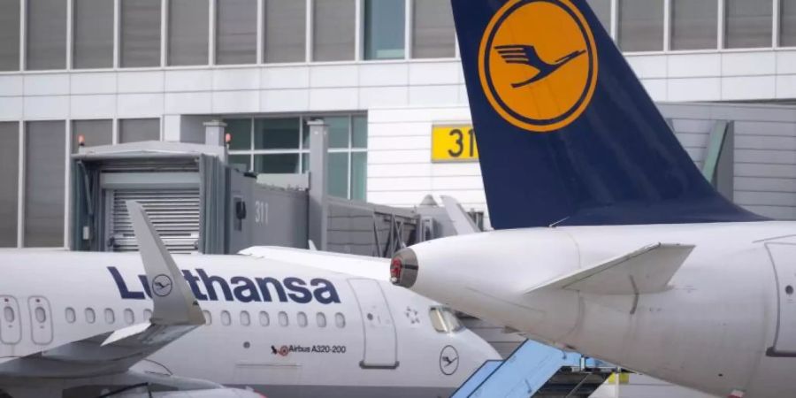 Flugzeuge der Lufthansa stehen auf dem Vorfeld am Flughafen München. Foto: Sven Hoppe/dpa