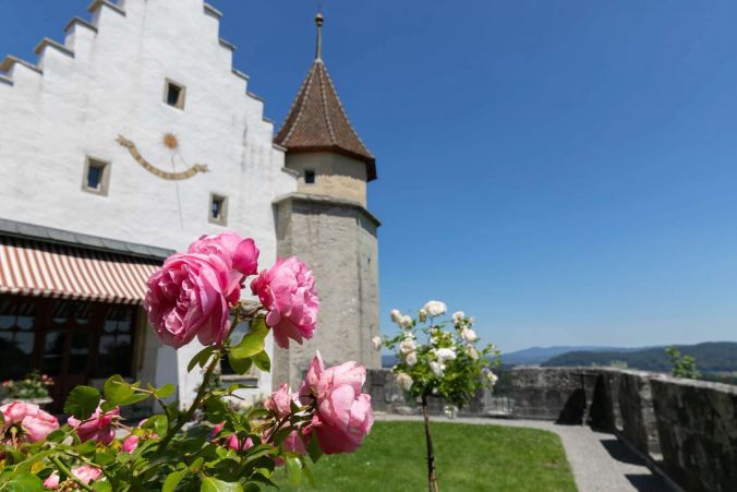 Rosengarten