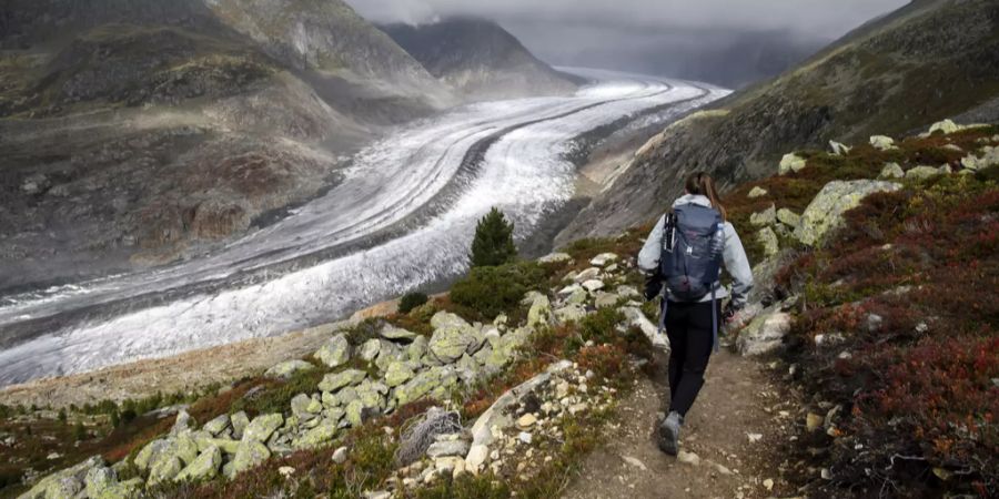 Halbmarathon Aletsch