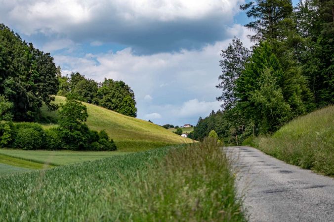 Ein Pfad von Teufenthal richtung Oberkulm.