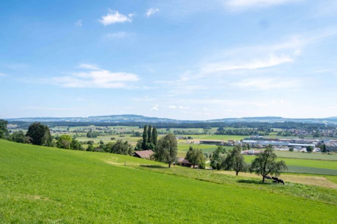 Aussicht über Büttikon.