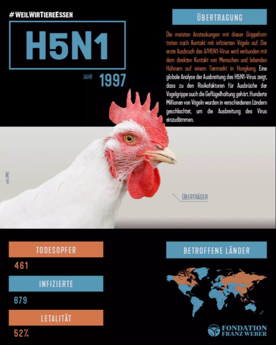 H5N1 liess sich auf den Kontakt von Menschen und lebendigen Hühnern auf einem Tiermarkt in Hongkong zurückführen.