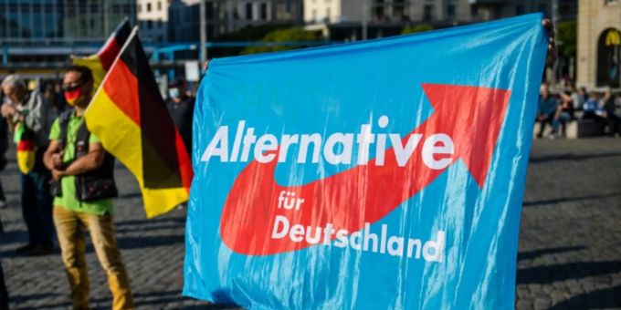Demonstrant mit AfD-Fahne afd