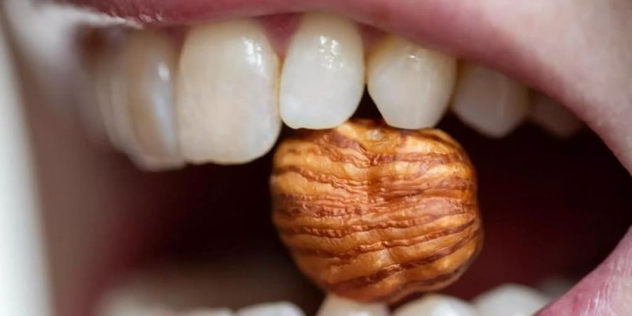 nach Schätzungen haben etwa drei Prozent der Erwachsenen und vier bis sechs Prozent der Kinder in Deutschland eine Nahrungsmittelallergie. Foto: Daniel Karmann/dpa