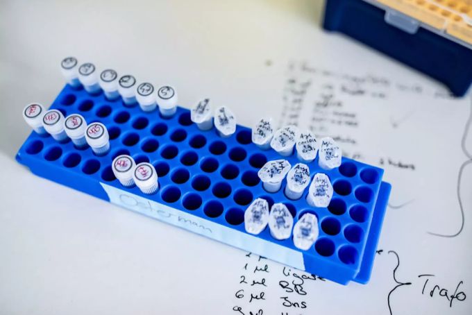 Proben für die Coronavirus-Forschung stehen auf einem Tisch in einem Labor. Forschungsprojekte umfassen Immunität nach ausgeheilter Infektion und Forschungsdaten zur Wirksamkeit und Bedeutung von Remdesivir in der klinischen Anwendung. Remdesivir coronavirus