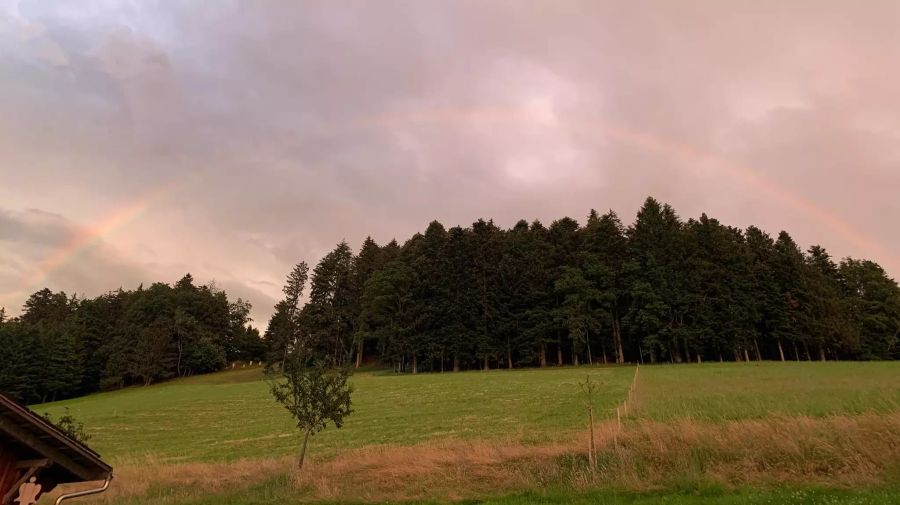 Nach Sturm und Hagel zeigt sich das Wetter wieder von seiner freundlichen Seite.