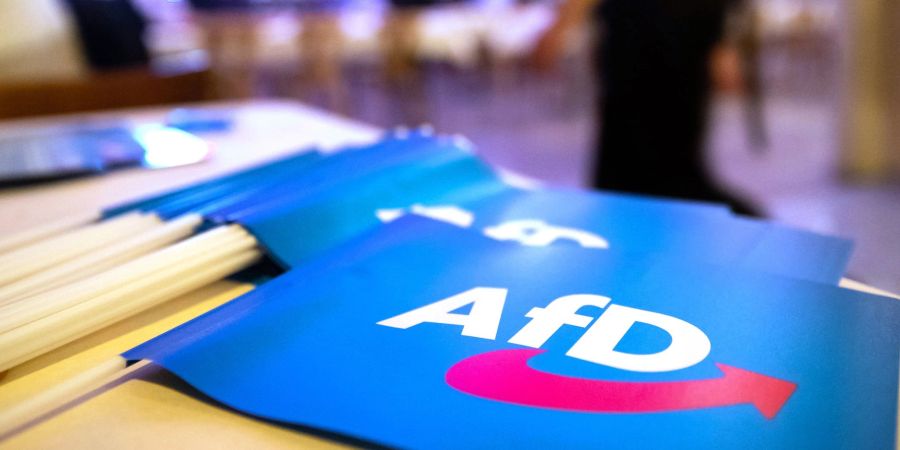 Fähnchen mit dem Logo der AfD.