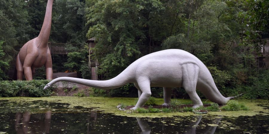 Nachbildungen eines Brachiosaurus (l) und eines Diplodocus stehen im Saurierpark im sächsischen Kleinwelka.