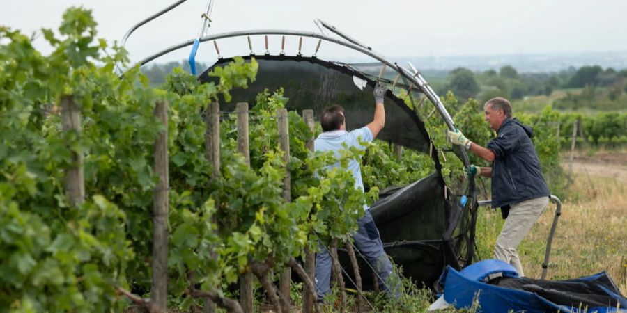 trampolin wetter