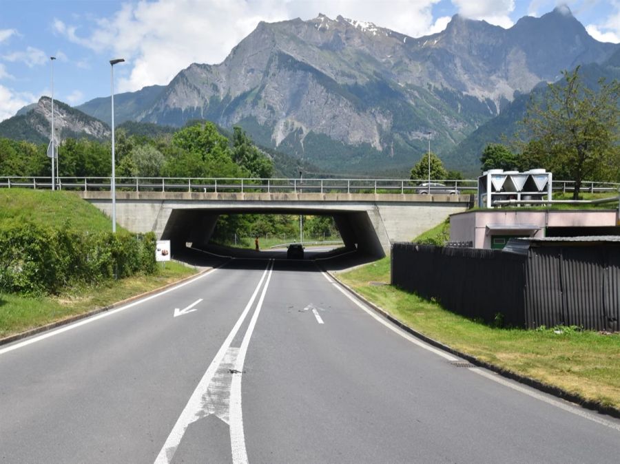 Sattelmotorfahrzeug Unfall