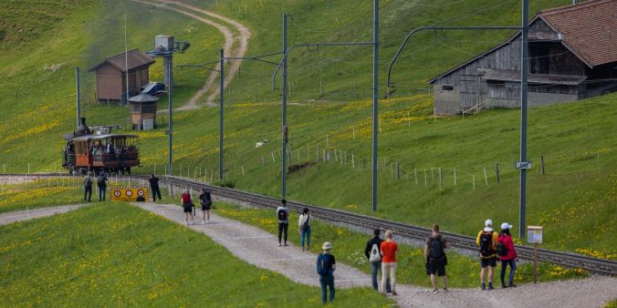 Da kommt die Dampflok7 gemählich die Rigi hinauf.