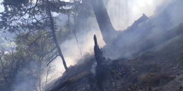 Kantonspolizei Graubünden
