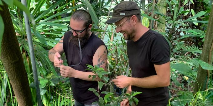Spinnenexperte Holger Frick und Käferexperte Christoph German beim Fallenaufstellen in den Gewächshäusern.