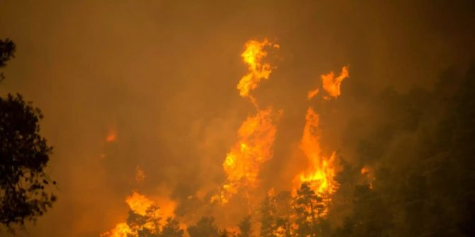 Brand auf Euböa