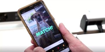 Tinder Tierheim München