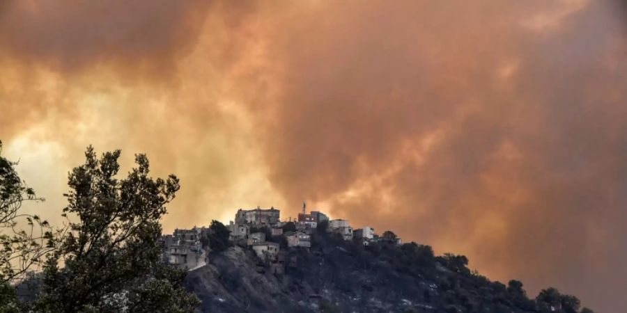 Waldbrand in der Kabylei