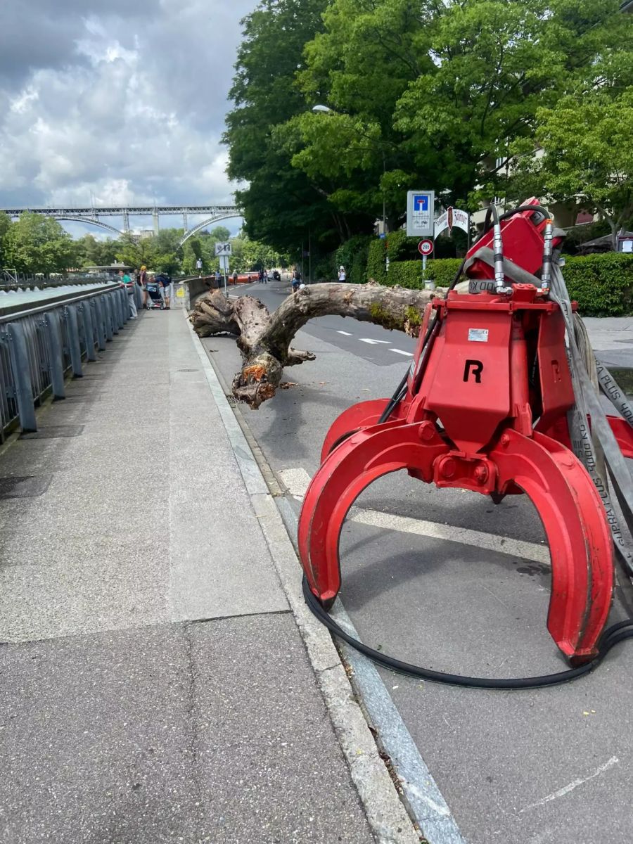 Während dem Unwetter wird Schwemmholz aus der Aare gefischt.