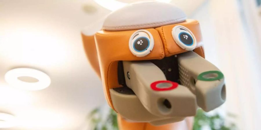 Pflegeroboter "Lio" des Schweizer Herstellers F&P Robotics AG auf der Messe Altenpflege 2019 im Messezentrum in Nürnberg. Foto: Timm Schamberger