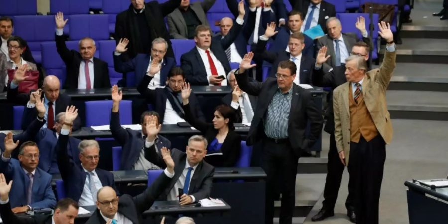 AfD-Fraktion im Bundestag